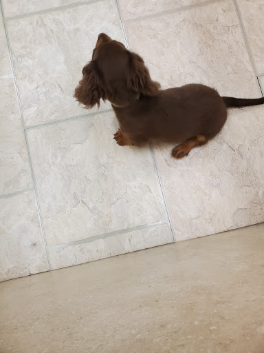 Pet Supply Store «Your Pet Experts», reviews and photos, 1665 State Hill Rd #490, Wyomissing, PA 19610, USA