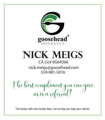 Nick Meigs - Goosehead Insurance Agent