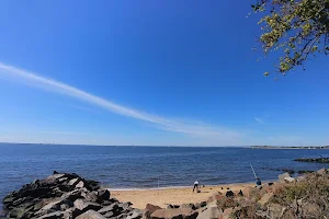 Sandy Hook Beach image