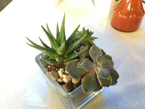 Health Club «Bay Club South Bay», reviews and photos, 2250 Park Pl, El Segundo, CA 90245, USA