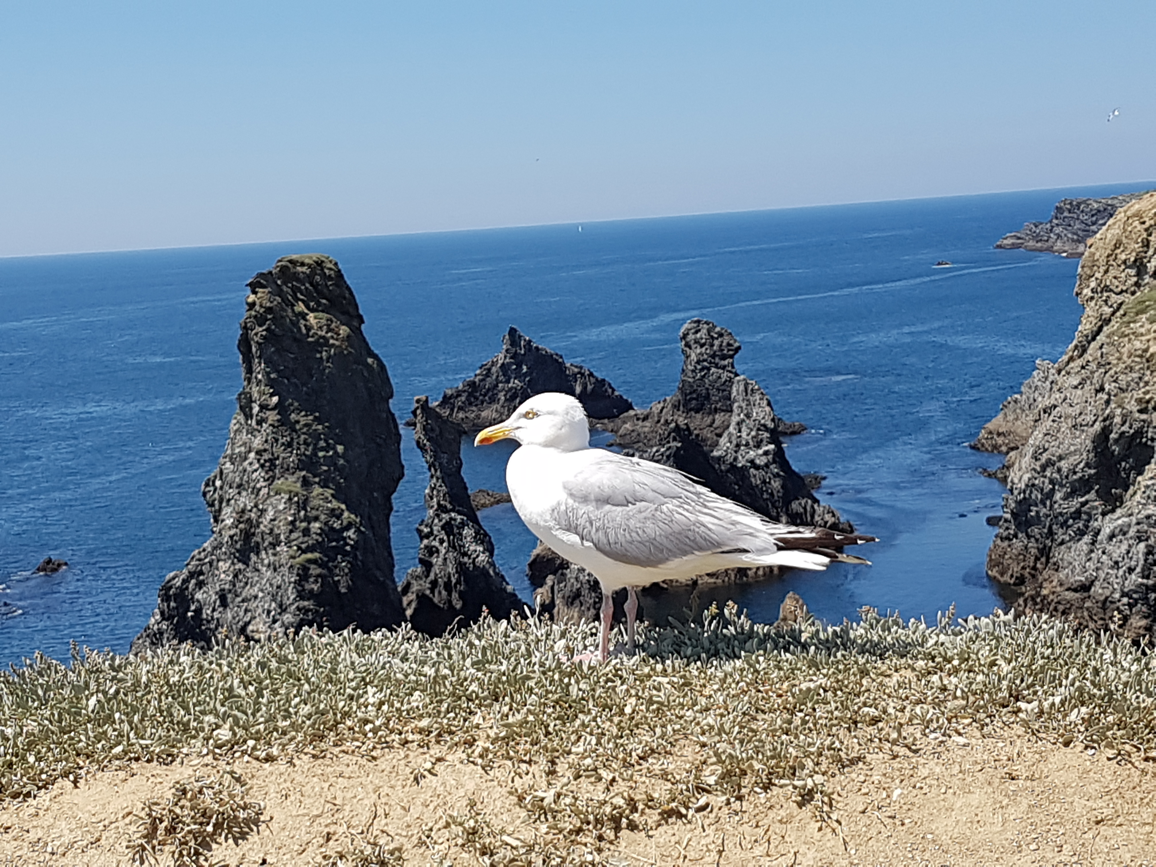 Photo n° 2 de l'avis de Guillaume. fait le 18/07/2018 à 07:30