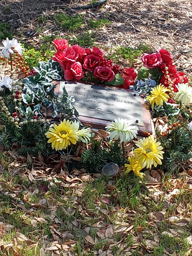 Shopping Mall «Richardson Square», reviews and photos, 501 S Plano Rd, Richardson, TX 75081, USA