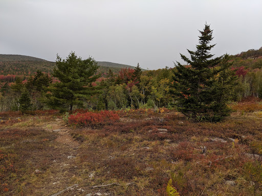 Sightseeing Tour Agency «Acadia National Park Tours», reviews and photos, 53 Main St, Bar Harbor, ME 04609, USA