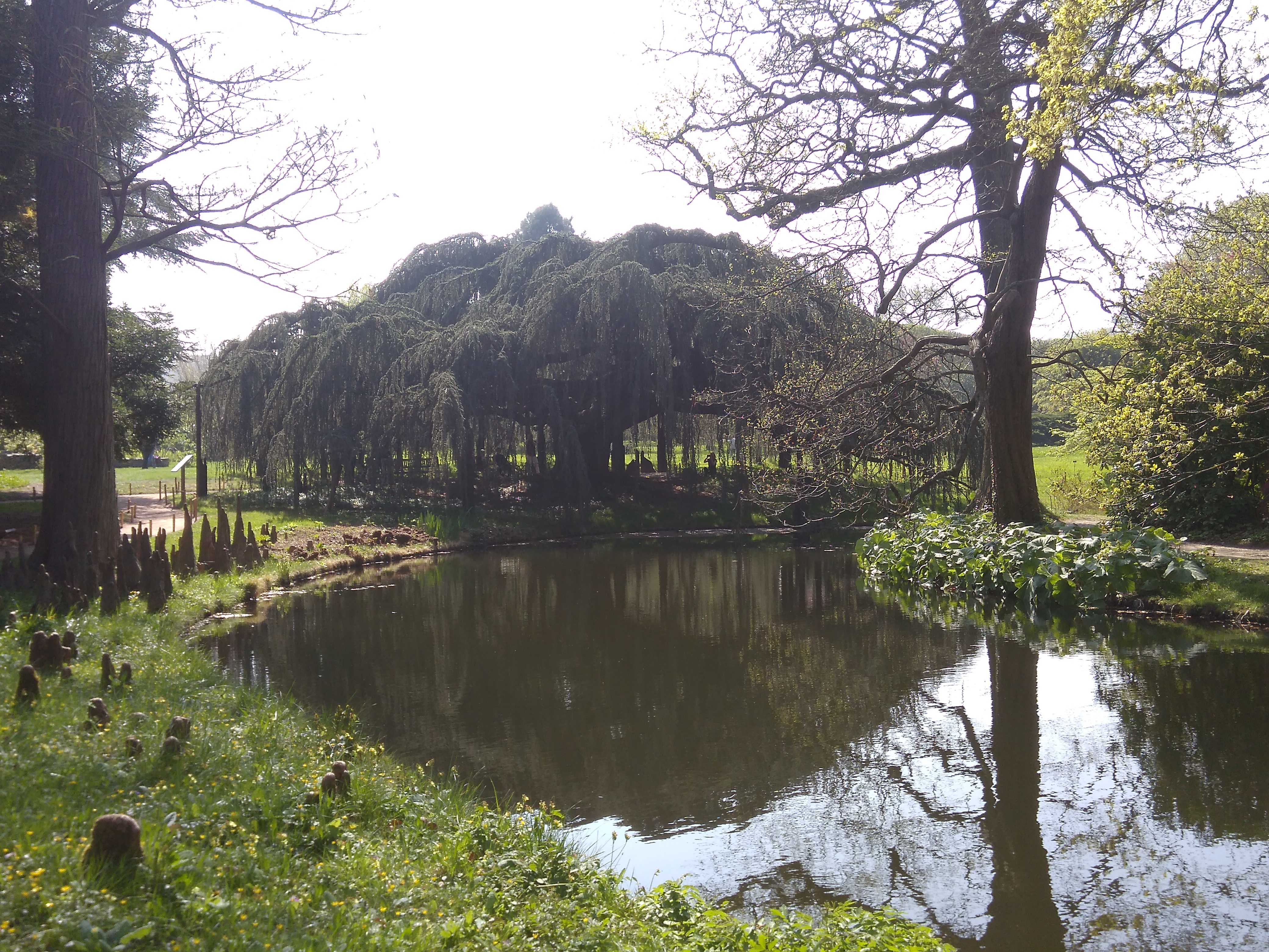 Photo n° 3 de l'avis de Nicolas.a fait le 08/04/2017 à 14:08