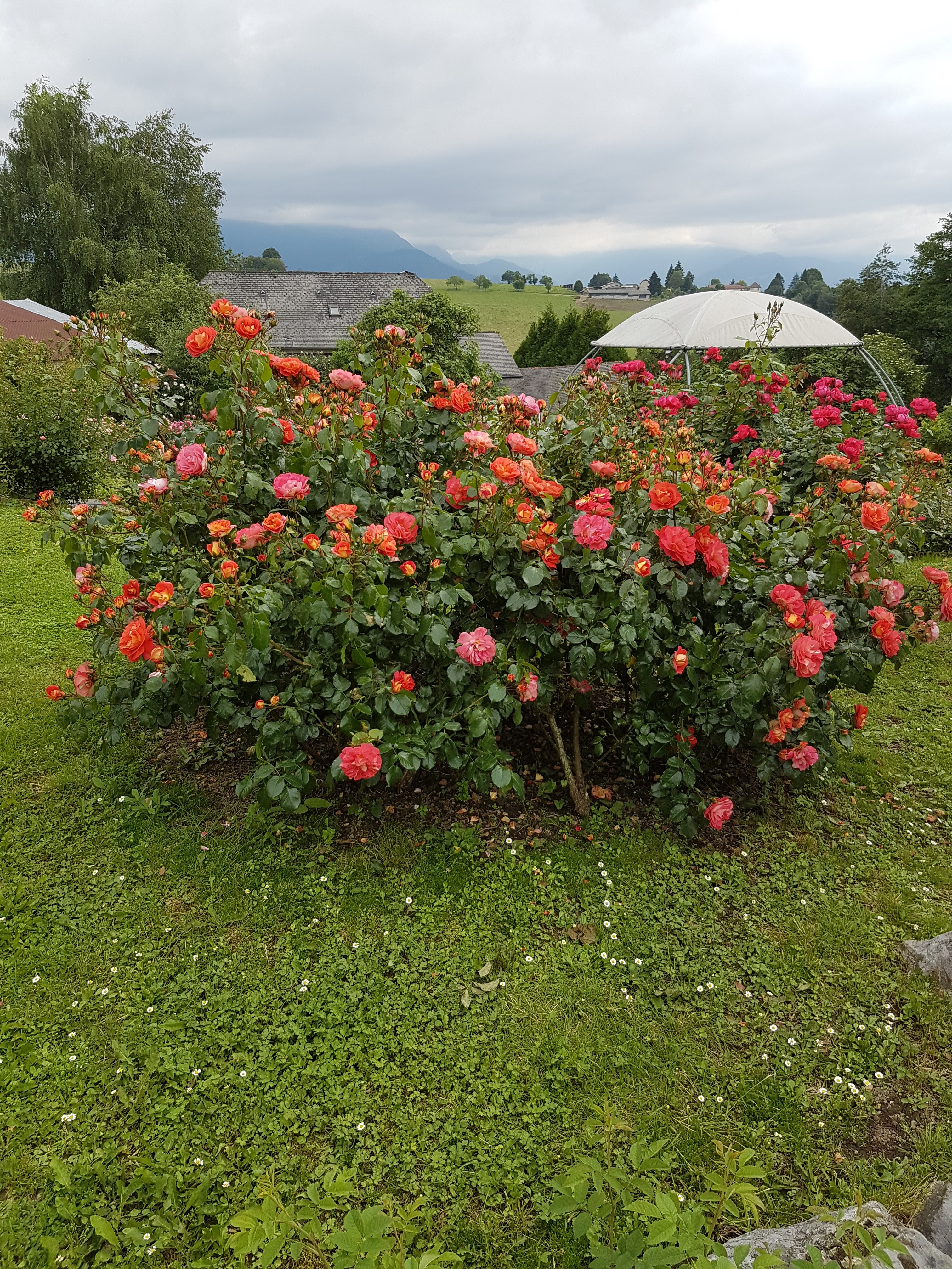 Photo n° 36 de l'avis de denis.o fait le 06/07/2018 à 20:25
