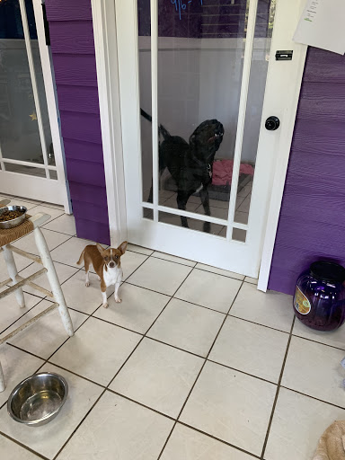 Pet Store «Pet Village», reviews and photos, 5610 Old York Rd, Rock Hill, SC 29732, USA