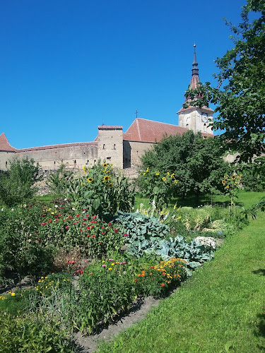 Rușchița