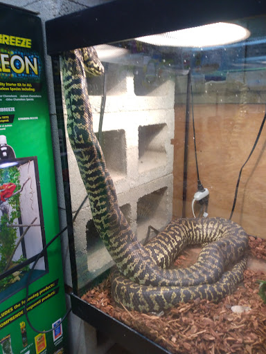 Pet Store «Oasis Tropicals», reviews and photos, 507 Commerce St, Pleasanton, TX 78064, USA