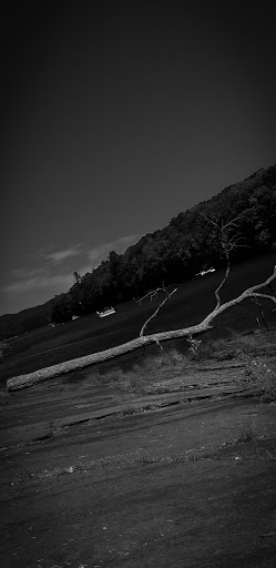 Tourist Attraction «Dinosaur Footprints», reviews and photos, US-5, Holyoke, MA 01040, USA