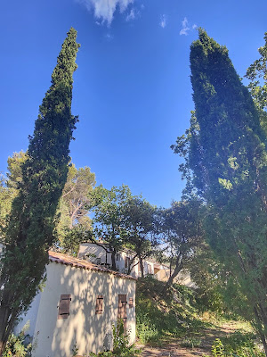 Écrin de chênes en Provence à Saint-Roman-de-Malegarde