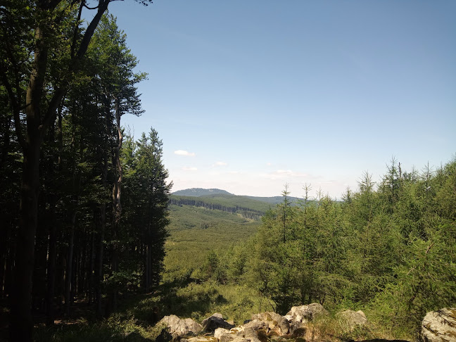 Opinii despre Traja jazdci în Modra - Telocvičňa