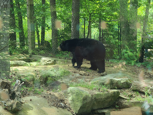 Zoo «Caldwell Zoo», reviews and photos, 2203 W Martin Luther King Jr Blvd, Tyler, TX 75702, USA