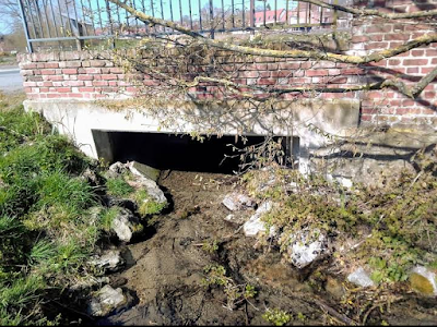 Source lavoir de Vendegies sur Ecaillon à Vendegies-sur-Écaillon