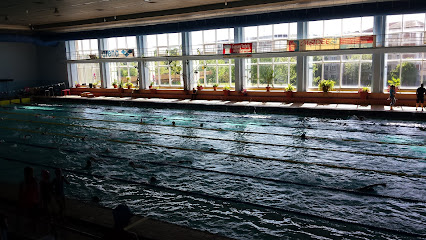 Olympic Swimming Pool Gheorghe Demeca - Bulevardul Unirii 11, Baia Mare 430271, Romania
