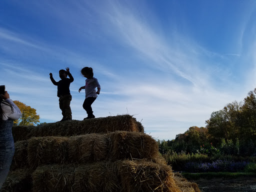 Farm «Langwater Farm», reviews and photos, 209 Washington St, North Easton, MA 02356, USA