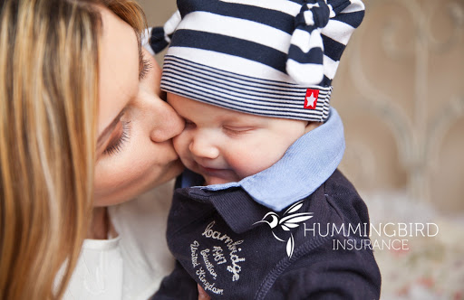 Insurance Agency «Hummingbird Insurance ♡», reviews and photos