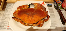 Metacarcinus magister du Restaurant de crabe Le Crabe Marteau à Brest - n°18