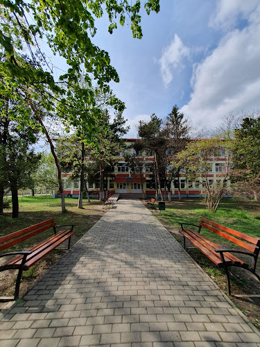 Școala Gimnazială Vladimirescu - Grădiniță