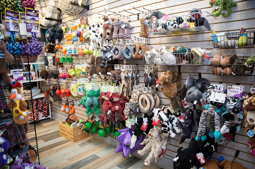 Gift Shop «Nautical Dog LLC», reviews and photos, 5104 Main St, Williamsburg, VA 23188, USA