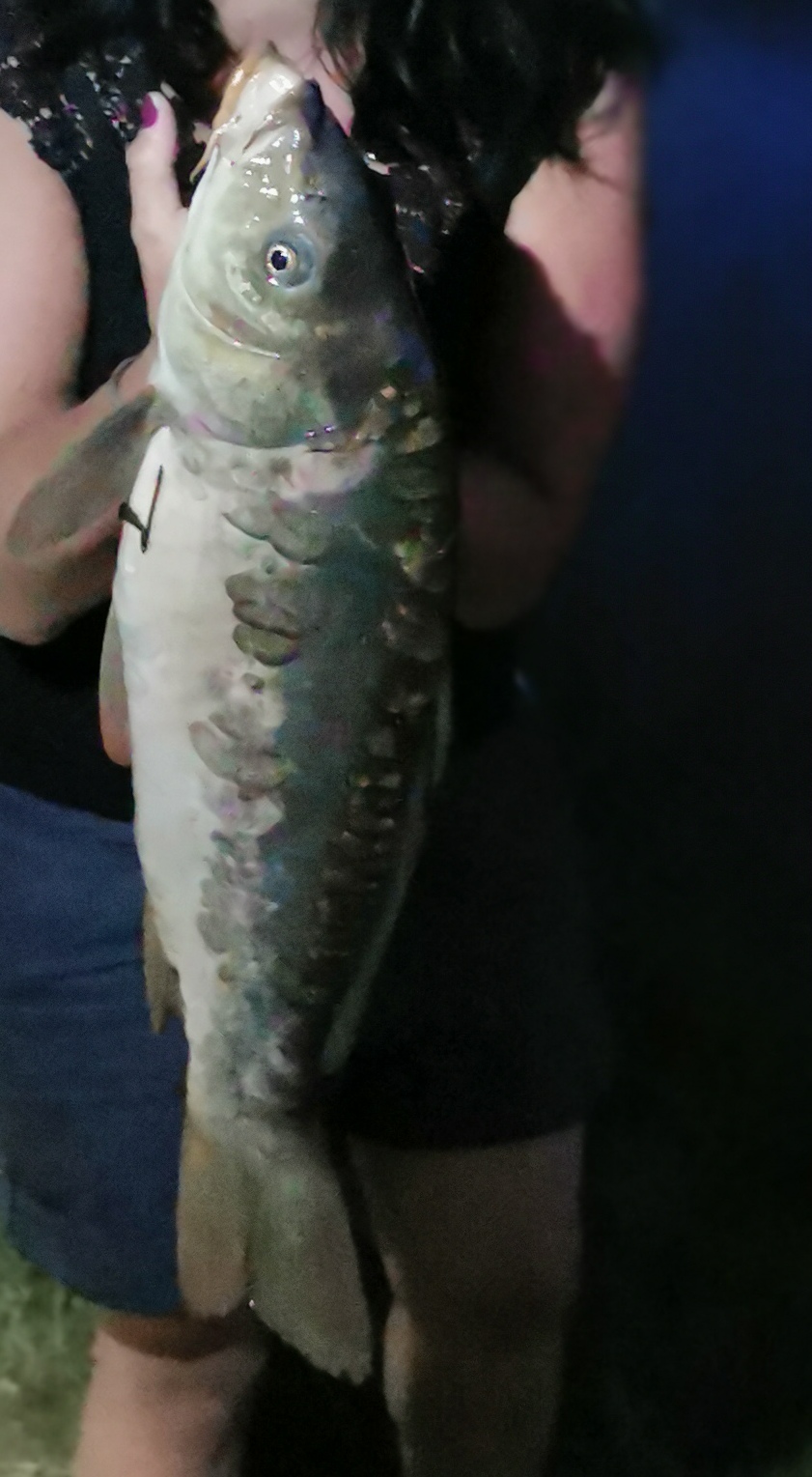 Photo n° 5 de l'avis de Marie.A fait le 12/06/2022 à 15:20