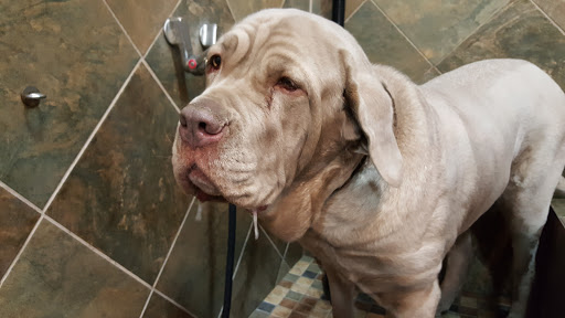 Pet Store «Pet Valu», reviews and photos, 37 Monroe Turnpike, Trumbull, CT 06611, USA