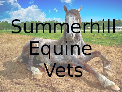 Reviews of Summerhill Equine Vets in Gloucester - Veterinarian