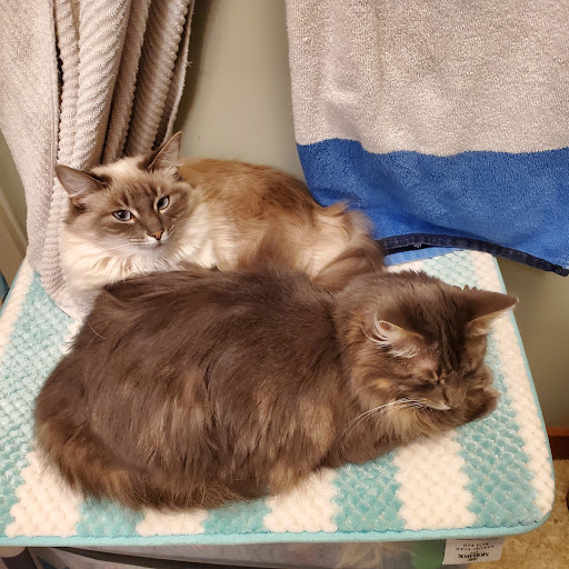 Pet Supply Store «Pet Source», reviews and photos, 620 Constitution Ave, Littleton, MA 01460, USA