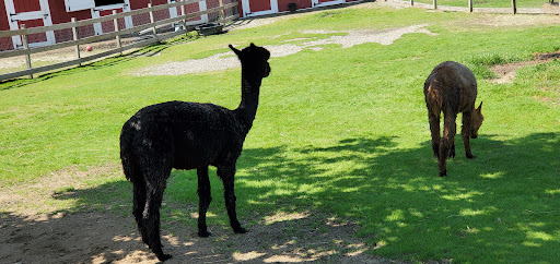 Park «Barnyard Zoo», reviews and photos, 127 Green Hill Pkwy, Worcester, MA 01605, USA