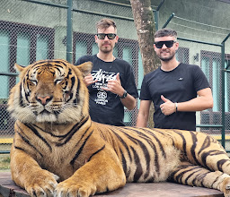 Tiger Kingdom - Phuket photo