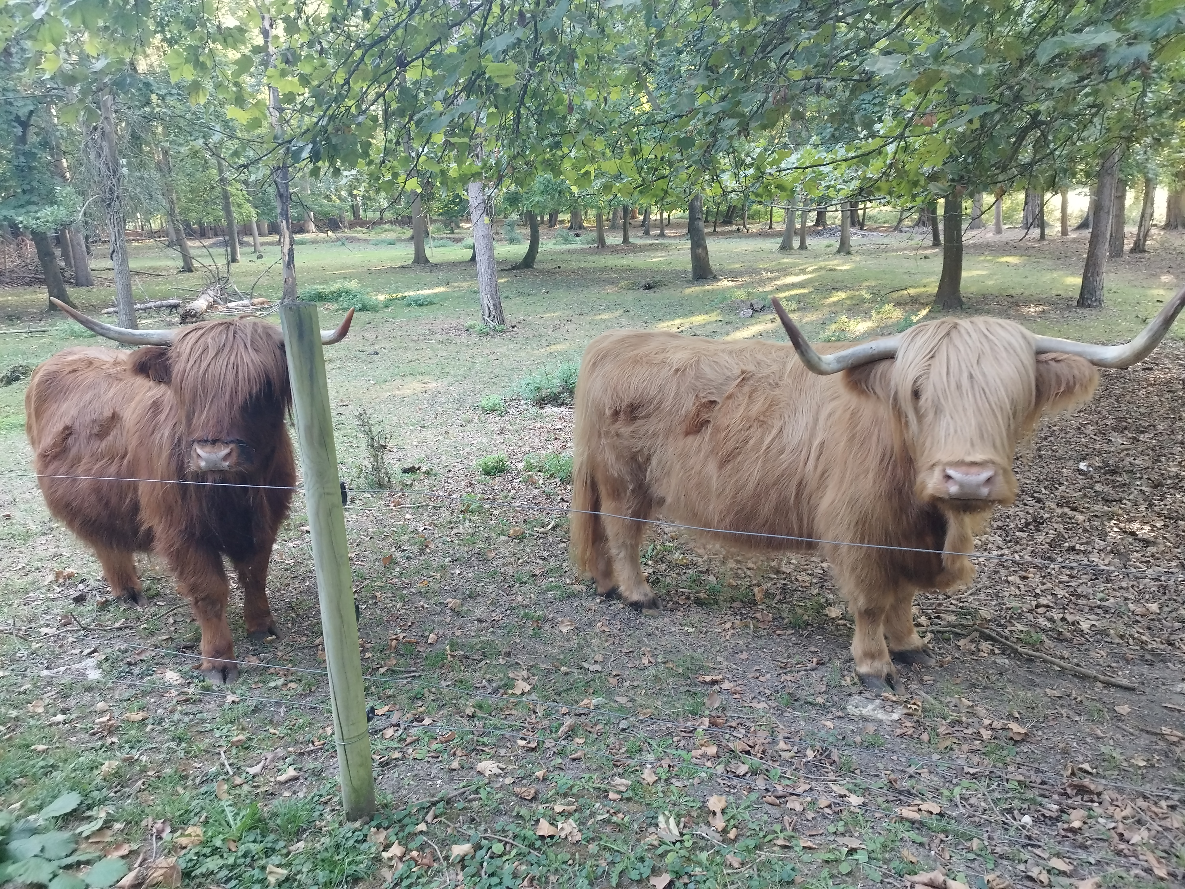 Photo n° 1 de l'avis de Meg.M fait le 02/09/2022 à 05:49