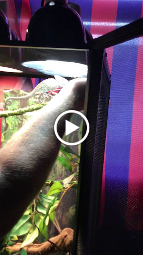 Grocery Store «Safeway», reviews and photos, 2466 Chapel Lake Dr, Gambrills, MD 21054, USA