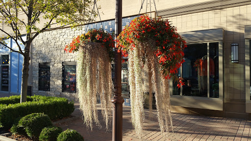 Cafe «Parisi Café at Park Place Shops», reviews and photos, 5245 W 116th Pl, Leawood, KS 66211, USA