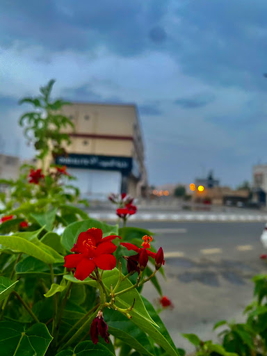 ملحمة النخبة ببدر 