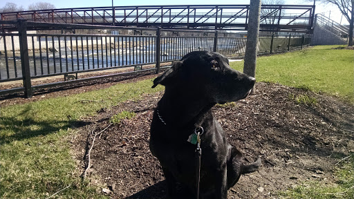 Park «Bicentennial Riverfront Park», reviews and photos, 301 E Hydraulic St, Yorkville, IL 60560, USA