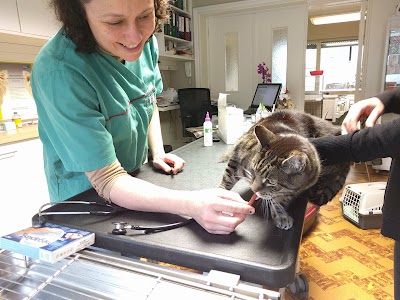 veterinary-care