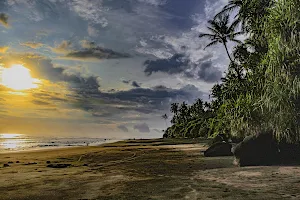 Pantai Bonian image