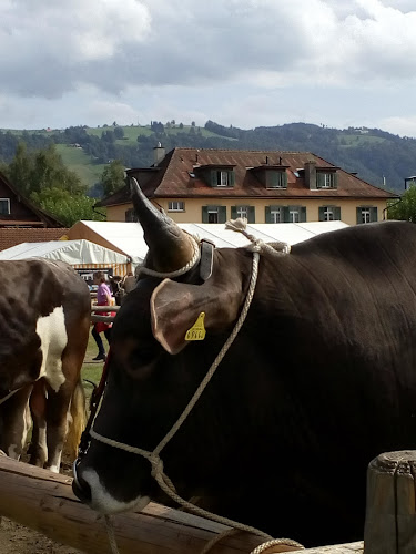 Rezensionen über Braunvieh Schweiz in Zug - Verband