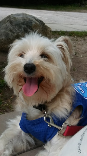 Park «Cass Park», reviews and photos, Cass Avenue, Woonsocket, RI 02895, USA