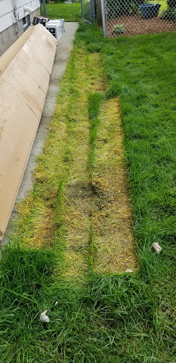 Window Supplier «Window Depot USA of Milwaukee», reviews and photos