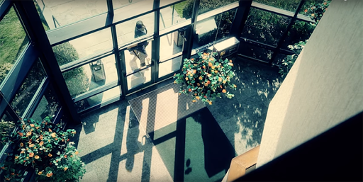 Personal Injury Attorney «Palermo Law, P.L.L.C.», reviews and photos