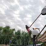 Photo n°3 de l'avis de Haaron.a fait le 09/08/2019 à 05:39 sur le  Pizzeria dalla Lola à Chioggia