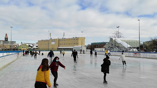 Regionalne Centrum Sportowe Sp. z o.o. - Kompleks sportowy