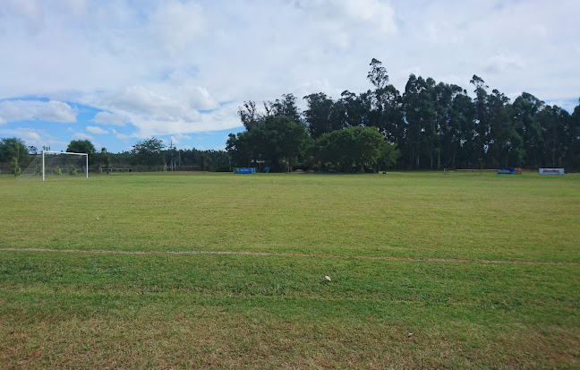 Opiniones de Campo Deportivo SMU en Canelones - Campo de fútbol