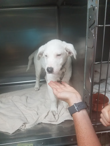 Pet Supply Store «PetSmart», reviews and photos, 7663 Arundel Mills Blvd, Hanover, MD 21076, USA