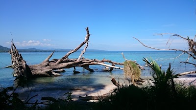 Photos of Кауита улуттук паркы