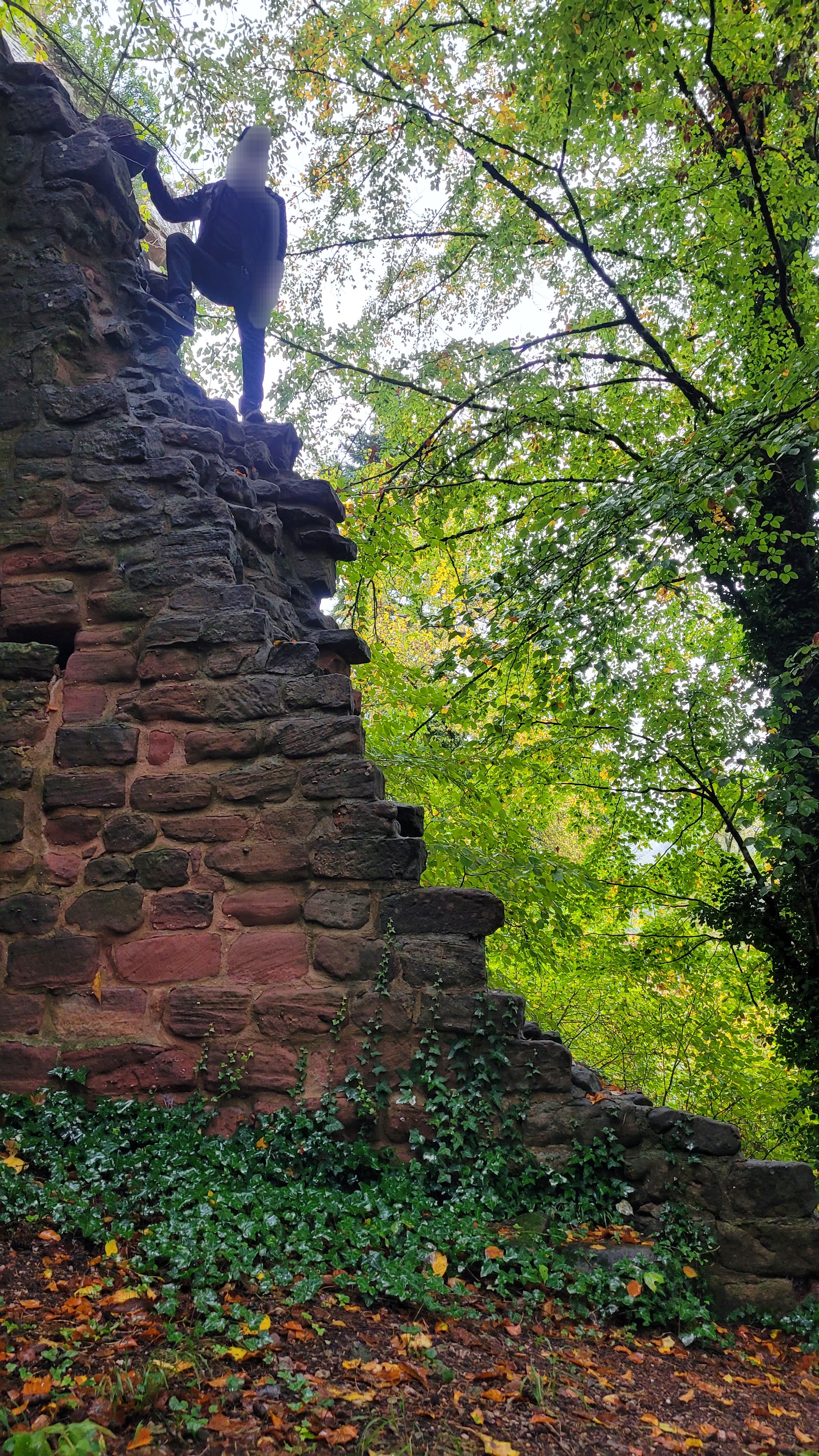 Photo n° 17 de l'avis de Verena.a fait le 31/10/2023 à 09:18