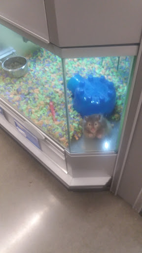 Pet Store «PetSmart», reviews and photos, 14903 4th Ave SW Ste 200, Burien, WA 98166, USA