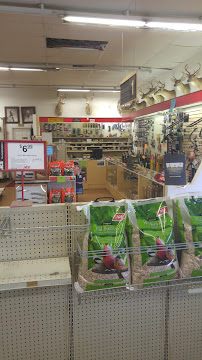 McKnight Hardware - Photo 9 - Car repair in Greensboro, NC, Greensboro