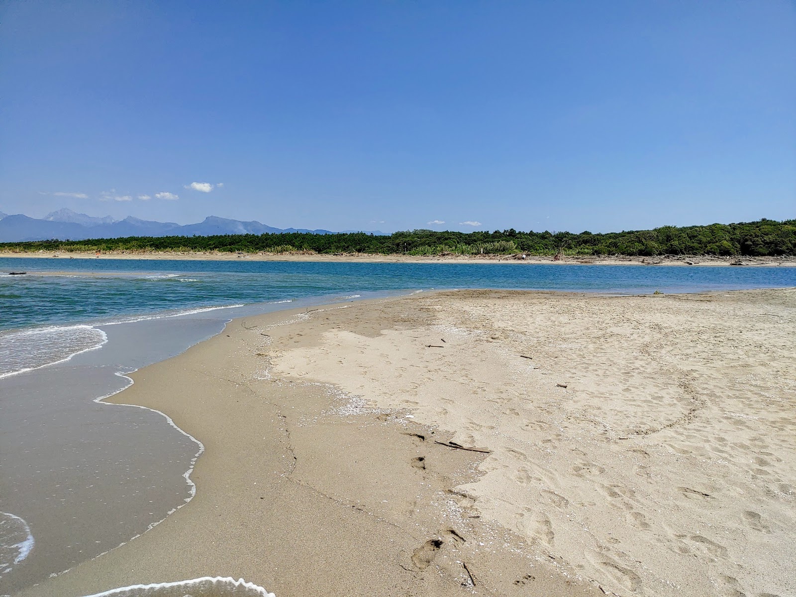 Foto di Serchio beach con una superficie del sabbia luminosa