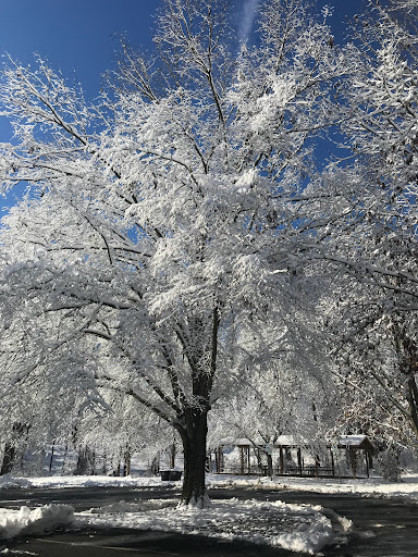 Park «Pilgrim Hill Local Park», reviews and photos, 1615 E Randolph Rd, Silver Spring, MD 20904, USA